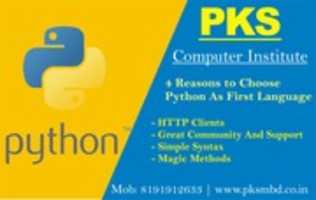 Free download python free photo or picture to be edited with GIMP online image editor