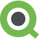 Qlik Extension for Chrome  screen for extension Chrome web store in OffiDocs Chromium