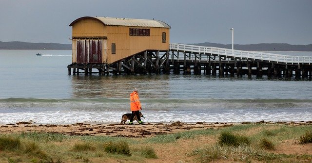 ดาวน์โหลดฟรี Queenscliff Boat Shed Walk - ภาพถ่ายหรือรูปภาพที่จะแก้ไขด้วยโปรแกรมแก้ไขรูปภาพออนไลน์ GIMP ฟรี