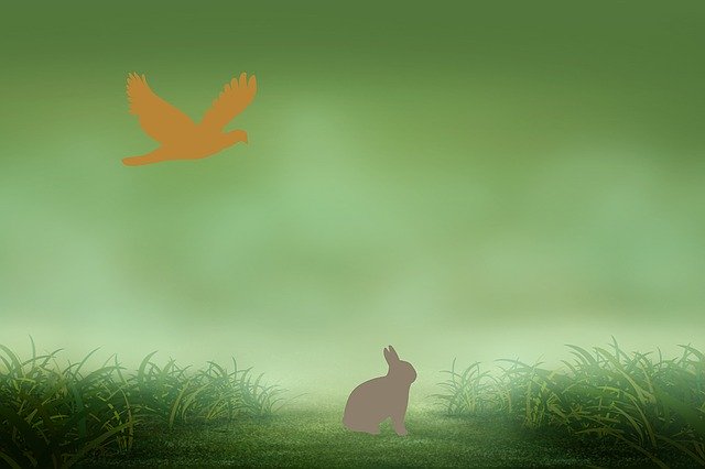 Free download Rabbit Eagle Drawing -  free illustration to be edited with GIMP free online image editor