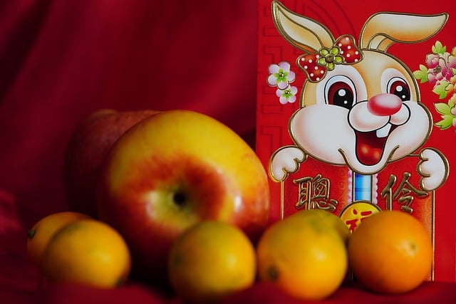 Free download rabbit new year chinese lunar year free picture to be edited with GIMP free online image editor