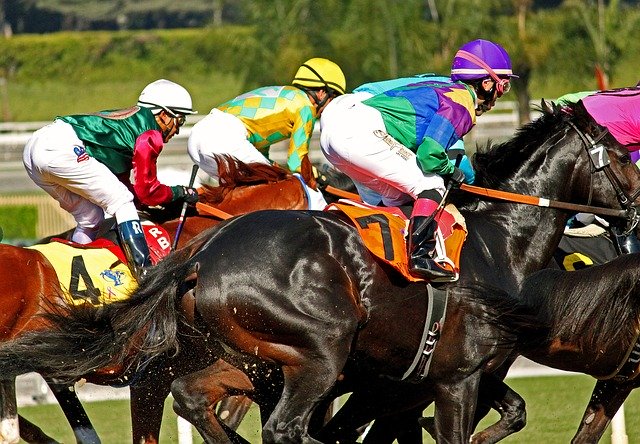 Free download Racetrack Horses Horse Racing -  free photo or picture to be edited with GIMP online image editor