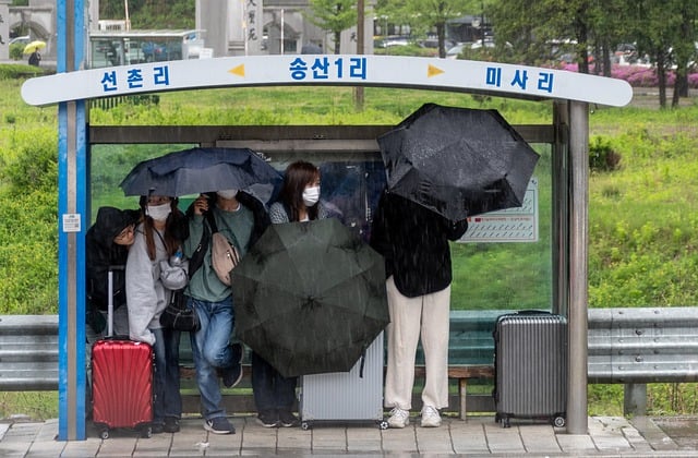 Free download rain bus stop umbrellas shelter free picture to be edited with GIMP free online image editor