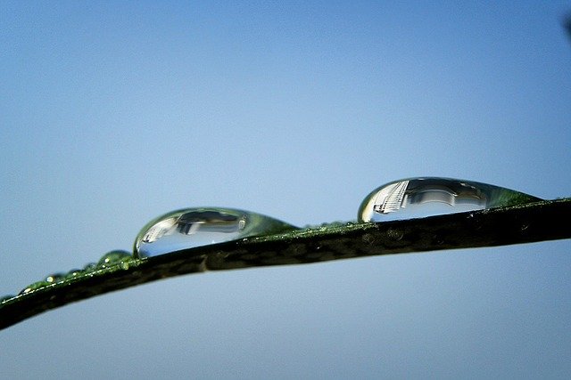 ดาวน์โหลดฟรี Raindrops The Water Droplets - ภาพถ่ายหรือรูปภาพฟรีที่จะแก้ไขด้วยโปรแกรมแก้ไขรูปภาพออนไลน์ GIMP