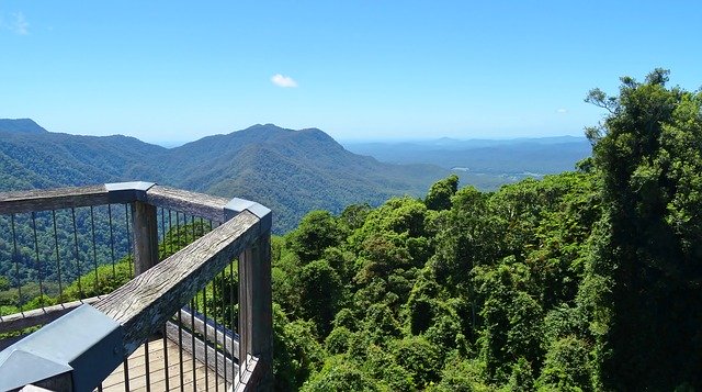 Free download Rain Forest Lookout Vista -  free photo or picture to be edited with GIMP online image editor