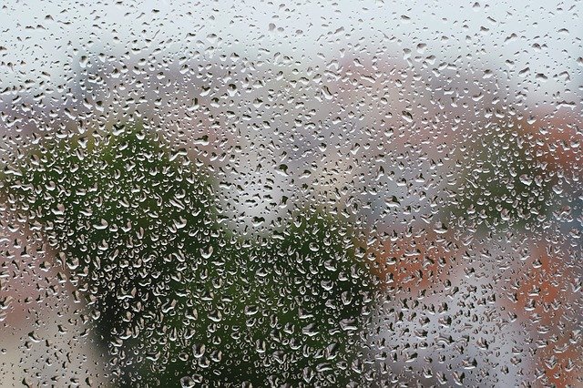 Free download Rain Moisture Window -  free photo or picture to be edited with GIMP online image editor