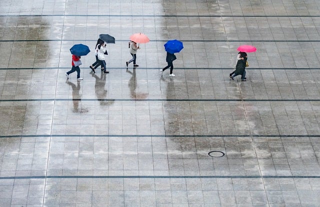 Free download rain people umbrellas wet weather free picture to be edited with GIMP free online image editor