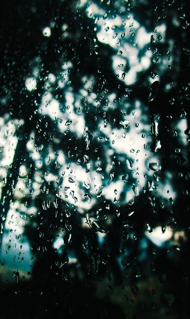 Free download Rain Season Dark -  free photo or picture to be edited with GIMP online image editor