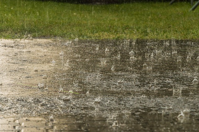 Free download Rain Weather Raindrop Heavy free photo template to be edited with GIMP online image editor