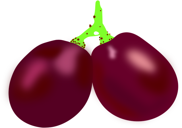 Free download Raisin Fruit Healthy - Free vector graphic on Pixabay free illustration to be edited with GIMP free online image editor