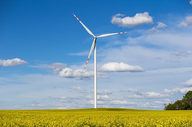 Free download rapeseed wind turbine windmill sky free picture to be edited with GIMP free online image editor