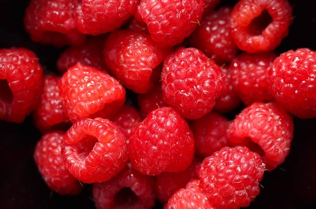 Free download Raspberry Berry Nutrition -  free photo or picture to be edited with GIMP online image editor