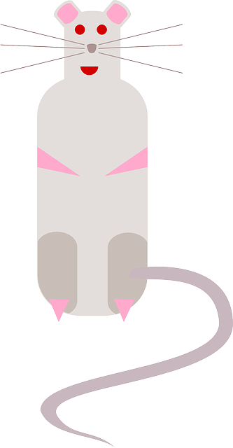 Free download Rat Mouse Cartoon - Free vector graphic on Pixabay free illustration to be edited with GIMP free online image editor