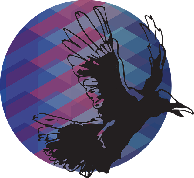 Free download Raven Ball Colour - Free vector graphic on Pixabay free illustration to be edited with GIMP free online image editor