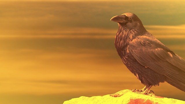 Free download Raven Manipulation Bird -  free illustration to be edited with GIMP free online image editor