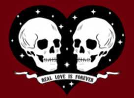 Free download REALLOVEISFOREVER DIGITAL free photo or picture to be edited with GIMP online image editor