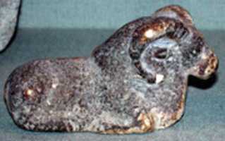 Reclining mouflon GIMP online editor free Free download Reclining mouflon free photo or picture to be edited with GIMP online image editor