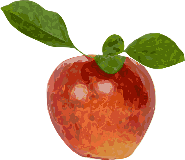 Free download Red Apple Fruit - Free vector graphic on Pixabay free illustration to be edited with GIMP free online image editor