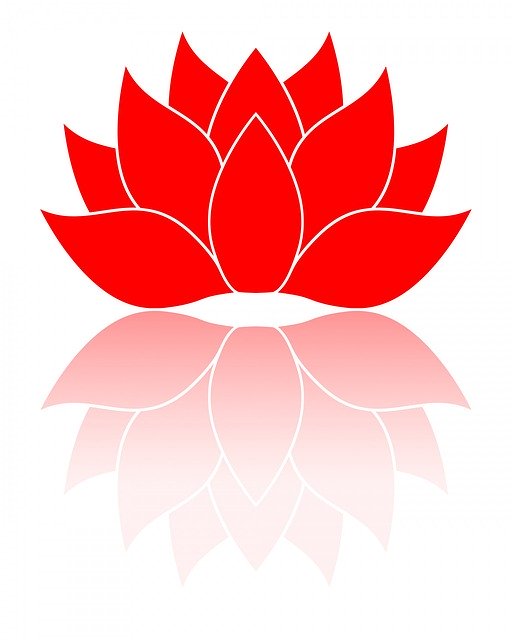 Free download Red Flower Isolated -  free illustration to be edited with GIMP free online image editor