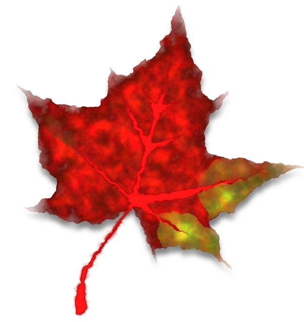 Free download Red Leaf Fall -  free illustration to be edited with GIMP free online image editor