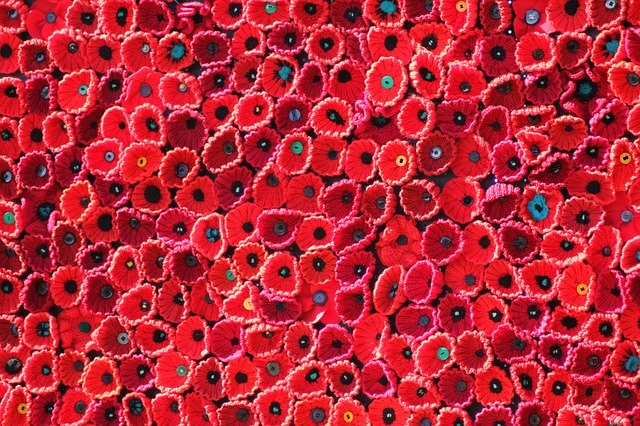 Free download Red Poppy Remembrance -  free illustration to be edited with GIMP free online image editor