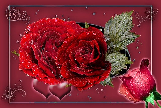 Free download Red Roses Rosebud Hearts -  free illustration to be edited with GIMP free online image editor