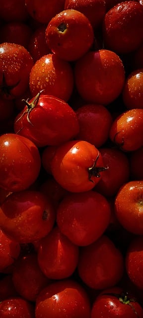 Free download red tomatoes fresh vegetable food free picture to be edited with GIMP free online image editor