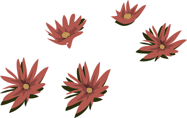 Free download Red Water Lilies Flowers - Free vector graphic on Pixabay free illustration to be edited with GIMP free online image editor