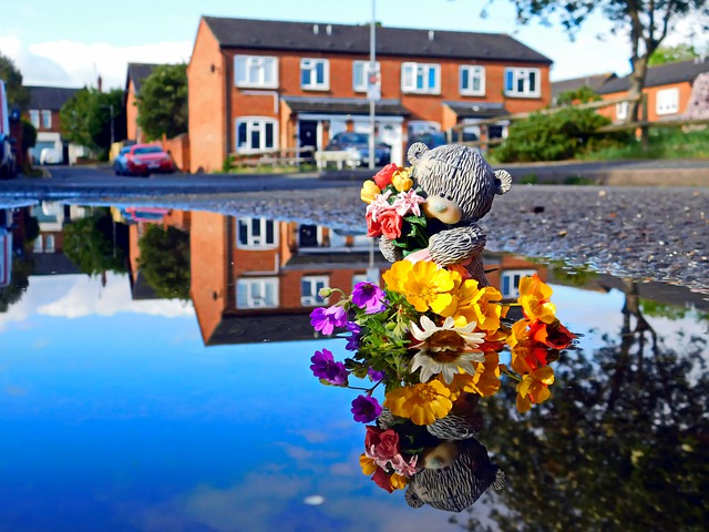 Free download reflections blue sky water flowers free picture to be edited with GIMP free online image editor