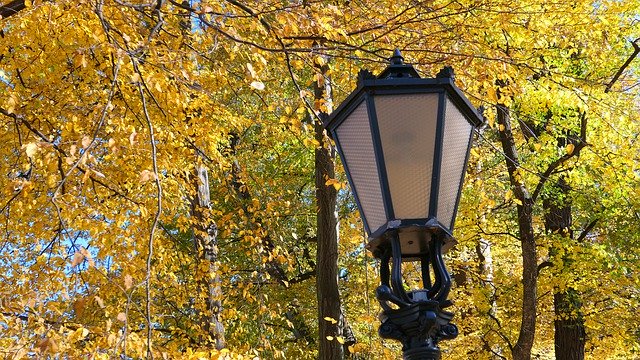 Free download Replacement Lamp Park Autumn -  free photo or picture to be edited with GIMP online image editor