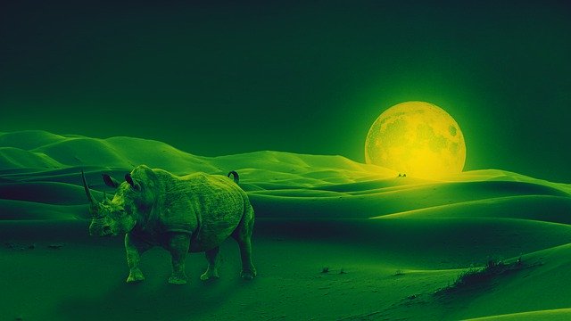 Free download Rhino Fantasy Space -  free illustration to be edited with GIMP free online image editor