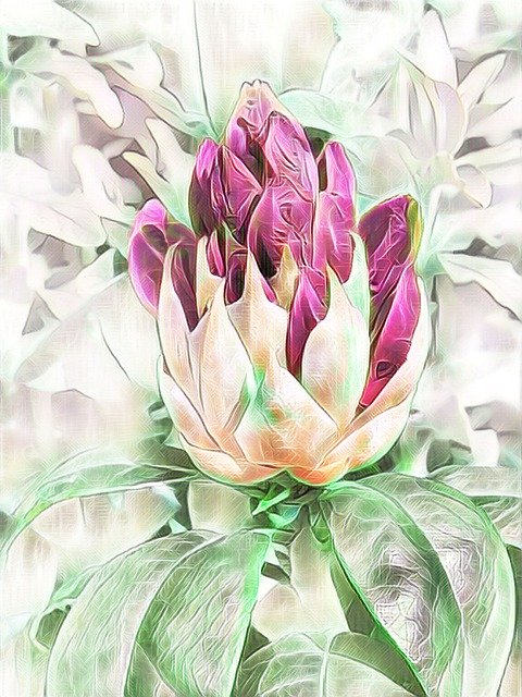 Free download Rhododendron Digital Painting -  free illustration to be edited with GIMP free online image editor