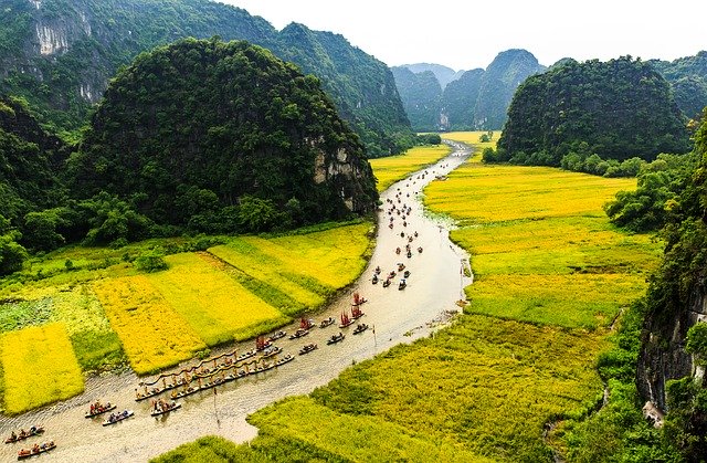 Free download Rice Field Dragon Boats Water -  free photo or picture to be edited with GIMP online image editor