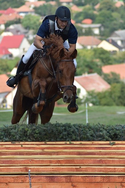 Free download Rider Show Jumping Competition -  free photo or picture to be edited with GIMP online image editor