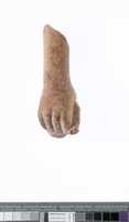 Free download Right Hand of a Statuette free photo or picture to be edited with GIMP online image editor