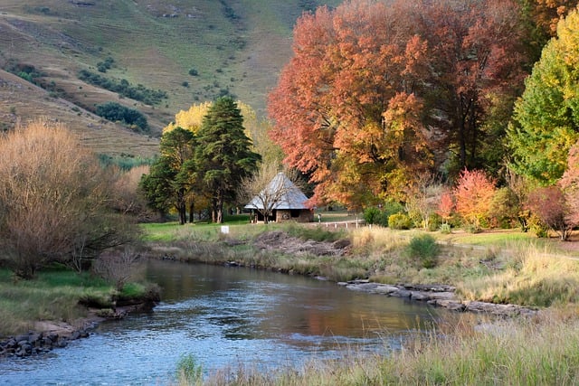 Free download river autumn trees landscape free picture to be edited with GIMP free online image editor