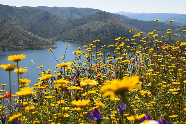 Free download River Douro Landscape Mountains -  free photo or picture to be edited with GIMP online image editor