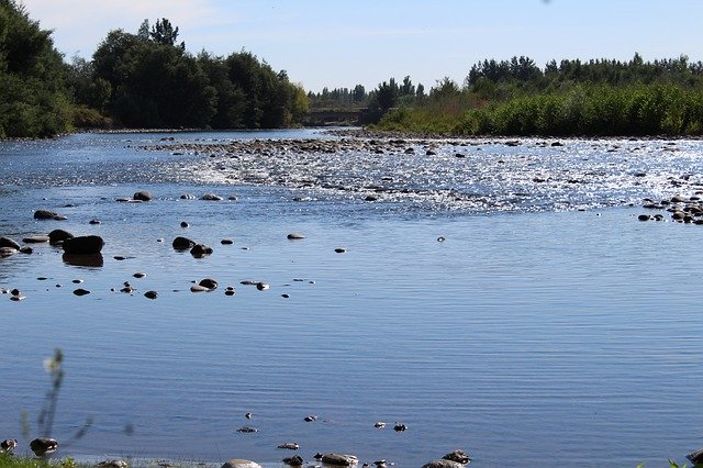 Muat turun percuma River Field Nature - foto atau gambar percuma untuk diedit dengan editor imej dalam talian GIMP