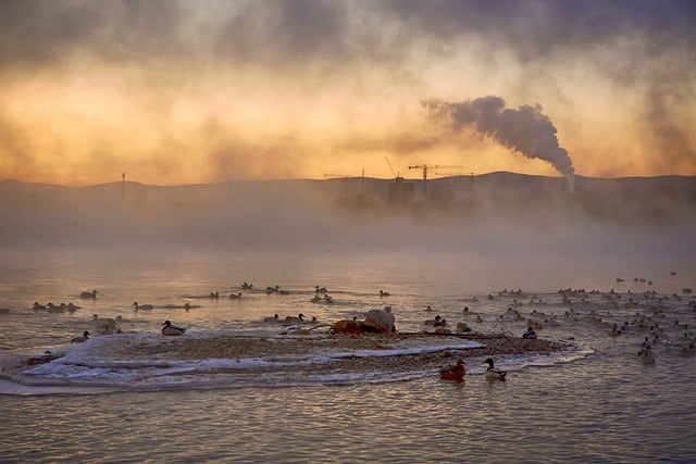 Free download river fog ducks sunrise birds free picture to be edited with GIMP free online image editor