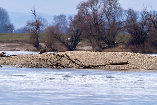 Free download river nature danube flow island free picture to be edited with GIMP free online image editor