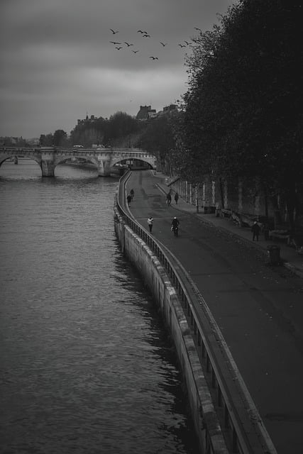 Free download river road birds paris france free picture to be edited with GIMP free online image editor