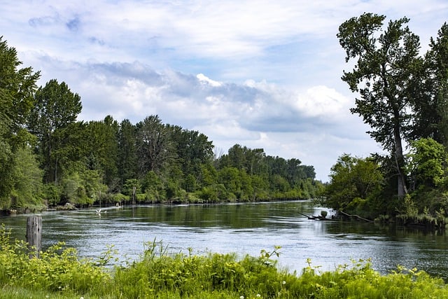 Free download river trees bushes riverscape free picture to be edited with GIMP free online image editor