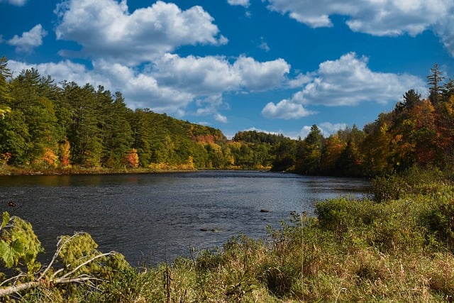 Free download river trees forest autumn free picture to be edited with GIMP free online image editor