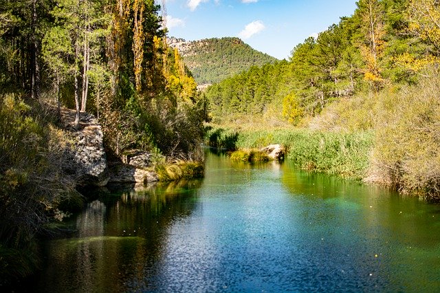 Free download River Trees Landscape -  free photo or picture to be edited with GIMP online image editor