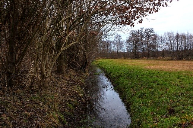 Free download River Water Meadow -  free photo or picture to be edited with GIMP online image editor