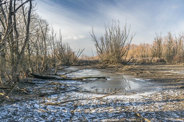 Free download River Winter Landscape -  free photo or picture to be edited with GIMP online image editor