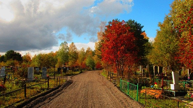 Free download Road Cemetery Autumn -  free photo or picture to be edited with GIMP online image editor