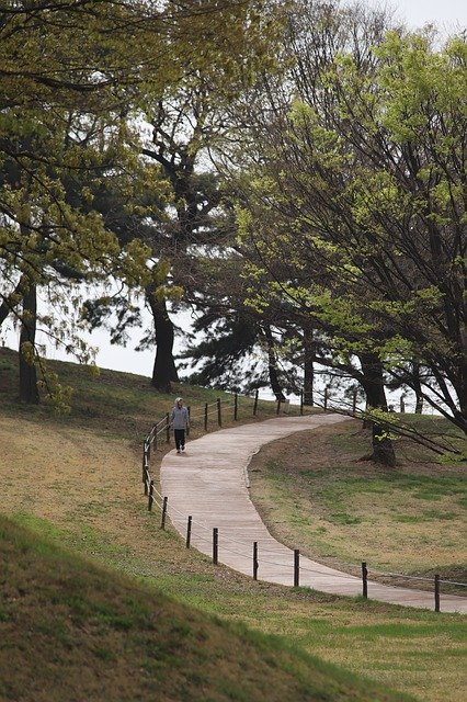 Free download Road Curve Forest free photo template to be edited with GIMP online image editor