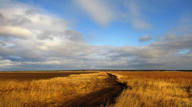 Free download Road Field Russia -  free photo or picture to be edited with GIMP online image editor