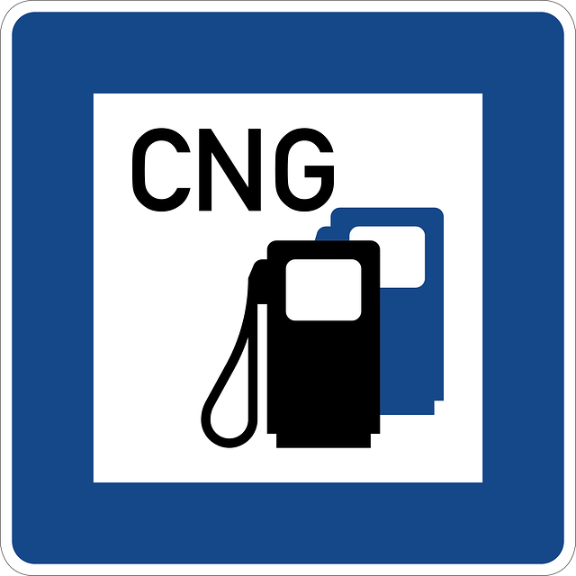 Free download Road Sign Cng Gas And Service - Free vector graphic on Pixabay free illustration to be edited with GIMP free online image editor